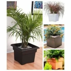 Square Veranda Deck Box Planter - Bloem White 11 Square Veranda Deck Box Planter - Bloem White -Cheap Planters Store unnamed file 2111