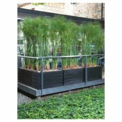 Rectangular Ellis Planter - Crescent Garden Black -Cheap Planters Store unnamed file 2171