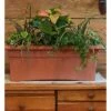 26" x 11" Veranda Rectangular Window Deck Box Planter - Bloem Terra Cotta