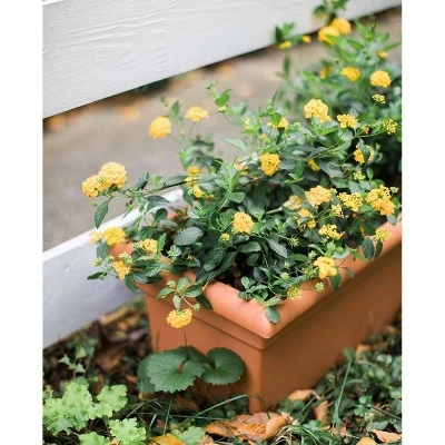 26" x 11" Veranda Rectangular Window Deck Box Planter - Bloem Terra Cotta 4 26" x 11" Veranda Rectangular Window Deck Box Planter - Bloem Terra Cotta - Image 2