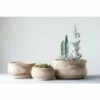 7.5" x 14" Paulownia Wood Planter Natural - 3R Studios 1 7.5" x 14" Paulownia Wood Planter Natural - 3R Studios -Cheap Planters Store unnamed file 2204