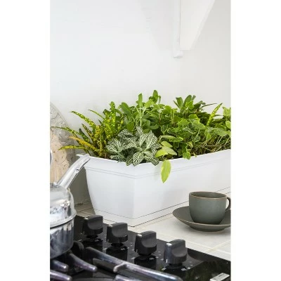 The HC Companies ECW24000A10 Indoor Outdoor 24 Inch Eclipse Series Window Flower Garden Ornamental Planter Box with Removable Attached Saucer, White 3 The HC Companies ECW24000A10 Indoor Outdoor 24 Inch Eclipse Series Window Flower Garden Ornamental Planter Box with Removable Attached Saucer, White