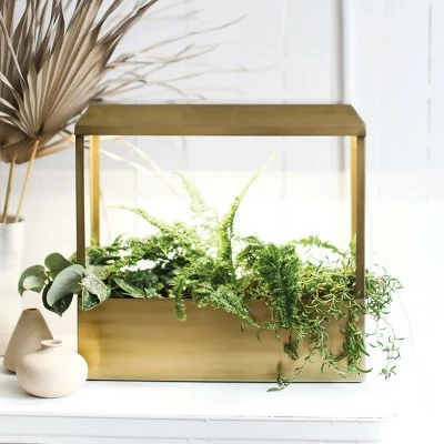 Modern Sprout Smart Growhouse - Indoor Planter with Grow Light, Smart App Enabled, Brass 3 Modern Sprout Smart Growhouse - Indoor Planter with Grow Light, Smart App Enabled, Brass