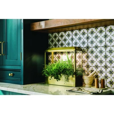 Modern Sprout Smart Growhouse - Indoor Planter with Grow Light, Smart App Enabled, Brass 4 Modern Sprout Smart Growhouse - Indoor Planter with Grow Light, Smart App Enabled, Brass - Image 2