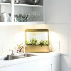 Modern Sprout Smart Growhouse - Indoor Planter with Grow Light, Smart App Enabled, Brass 8 Modern Sprout Smart Growhouse - Indoor Planter with Grow Light, Smart App Enabled, Brass -Cheap Planters Store unnamed file 2334