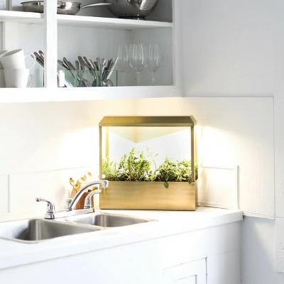 Modern Sprout Smart Growhouse - Indoor Planter with Grow Light, Smart App Enabled, Brass 5 Modern Sprout Smart Growhouse - Indoor Planter with Grow Light, Smart App Enabled, Brass - Image 3