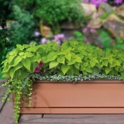 Southern Patio 36 In Medallion Hanging Windowsill Garden Box Planter, Terracotta 7 Southern Patio 36 In Medallion Hanging Windowsill Garden Box Planter, Terracotta -Cheap Planters Store unnamed file 2540