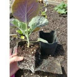 Gardener's Supply Company Pop-Out Pots, Set of 4 - GARDENER'S SUPPLY CO.