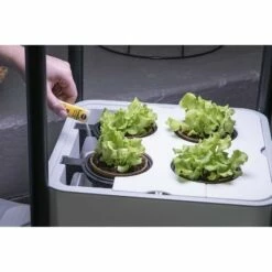 Miracle-Gro Twelve Plant Nutrition and Transplanting Kit 18 Miracle-Gro Twelve Plant Nutrition and Transplanting Kit -Cheap Planters Store unnamed file 2945