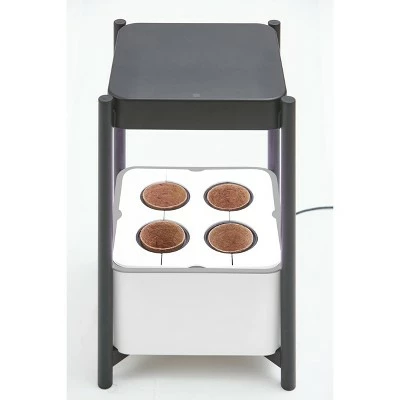 Miracle-Gro Twelve Plant Nutrition and Transplanting Kit 10 Miracle-Gro Twelve Plant Nutrition and Transplanting Kit - Image 10