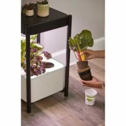 Miracle-Gro Planter Inserts and Liners - 2pk 14 Miracle-Gro Planter Inserts and Liners - 2pk -Cheap Planters Store unnamed file 2952