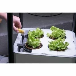 Miracle-Gro Twelve Nutrition and Seed Starter -Cheap Planters Store unnamed file 2982