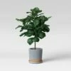 Earthenware Planter - Smith & Hawken™ Blue -Cheap Planters Store unnamed file 2994