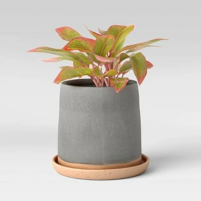 Indoor/Outdoor Earthenware Planter - Smith & Hawken™ Slate Black 4 Indoor/Outdoor Earthenware Planter - Smith & Hawken™ Slate Black - Image 2