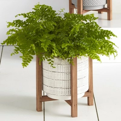 The Lakeside Collection Lakeside Ceramic Planter on Wood Stand - Indoor/Outdoor Decorative Pot 4 The Lakeside Collection Lakeside Ceramic Planter on Wood Stand - Indoor/Outdoor Decorative Pot - Image 2