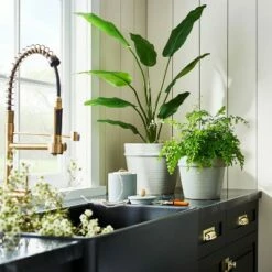 Threshold Designed W/Studio McGee Earthenware Tabletop Planter - Threshold™ designed with Studio McGee Rose