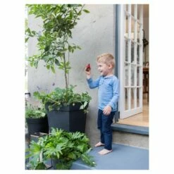 Recycled Square Tapered Planter - Smith & Hawken™ Black -Cheap Planters Store unnamed file 3013