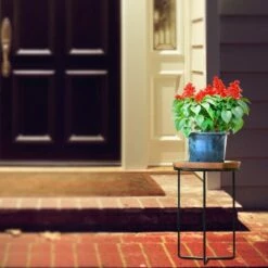 Smith & Hawken Wood Plant Stand Black - Smith & Hawken™ 7 Smith & Hawken Wood Plant Stand Black - Smith & Hawken™ -Cheap Planters Store unnamed file 3033