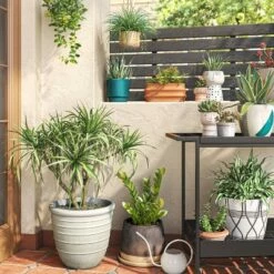 5" Outdoor Sand Glazed Stoneware Planter Terracotta - Project 62™