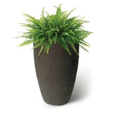 Algreen Products 87311 Athena Self-Watering Flower Pot and Planter, Brownstone 3 Algreen Products 87311 Athena Self-Watering Flower Pot and Planter, Brownstone
