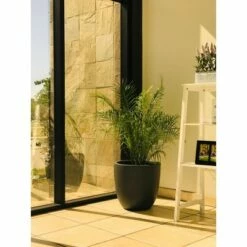 17" Kante Lightweight Concrete Modern Seamless Outdoor Planter - Rosemead Home & Garden, Inc. Slate Gray 18 17" Kante Lightweight Concrete Modern Seamless Outdoor Planter - Rosemead Home & Garden, Inc. Slate Gray -Cheap Planters Store unnamed file 3065