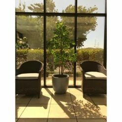 Kante Lightweight Modern Outdoor Concrete Urn Planter Slate Gray - Rosemead Home & Garden, Inc. -Cheap Planters Store unnamed file 3119