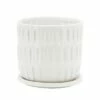 6" Textured Planter with Saucer - Sagebrook Home Ivory/beige