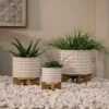 Ceramic Dotted Planter with Wood Stand Ivory - Sagebrook Home 2 Ceramic Dotted Planter with Wood Stand Ivory - Sagebrook Home -Cheap Planters Store unnamed file 3393