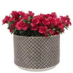 Sagebrook Home Set of 2 Geometric Polyresin Planters Gold 9 Sagebrook Home Set of 2 Geometric Polyresin Planters Gold -Cheap Planters Store unnamed file 3406