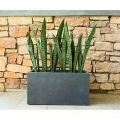 Kante Lightweight Modern Long Low Outdoor Concrete Rectangular Planter - Rosemead Home & Garden, Inc. Charcoal