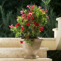 Sunnydaze Decor Sunnydaze Indoor/Outdoor Patio, Garden, or Porch Weather-Resistant Double-Walled Darcy Flower Pot Planter - 16" - Beige - 4pk -Cheap Planters Store unnamed file 3592