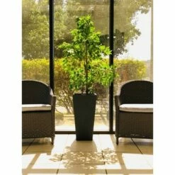 Rosemead Home & Garden, Inc. 24.4" Kante Lightweight Modern Tapered Concrete Rectangular Planter Charcoal Black - Rosemead Home & Garden, Inc. 16 Rosemead Home & Garden, Inc. 24.4" Kante Lightweight Modern Tapered Concrete Rectangular Planter Charcoal Black - Rosemead Home & Garden, Inc. -Cheap Planters Store unnamed file 3619