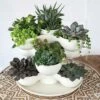 The HC Companies 8 Inch Round Stacking Decorative Indoor Pixie Succulent Flower Planter Pot with 3 Planting Levels, Artisan Taupe 2 The HC Companies 8 Inch Round Stacking Decorative Indoor Pixie Succulent Flower Planter Pot with 3 Planting Levels, Artisan Taupe -Cheap Planters Store unnamed file 3660
