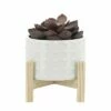 Ceramic Dotted Planter with Wood Stand White - Sagebrook Home -Cheap Planters Store unnamed file 3665
