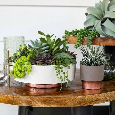 The HC Companies 8 Inch Round Plastic Capri Bowl Decorative Indoor Flower Succulent Planter Pot with Drain Plug Hole, Faux Concrete 3 The HC Companies 8 Inch Round Plastic Capri Bowl Decorative Indoor Flower Succulent Planter Pot with Drain Plug Hole, Faux Concrete