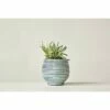 Round Striped Terracotta Planter - Aqua - 3R Studios 2 Round Striped Terracotta Planter - Aqua - 3R Studios -Cheap Planters Store unnamed file 3678