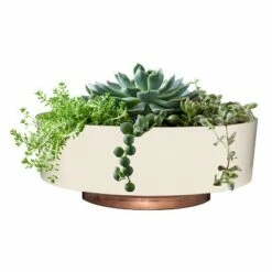 The HC Companies 8 Inch Round Plastic Capri Bowl Decorative Indoor Flower Succulent Planter Pot with Drain Plug Hole, Vanilla Bisque