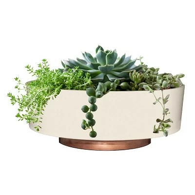 The HC Companies 8 Inch Round Plastic Capri Bowl Decorative Indoor Flower Succulent Planter Pot with Drain Plug Hole, Vanilla Bisque 3 The HC Companies 8 Inch Round Plastic Capri Bowl Decorative Indoor Flower Succulent Planter Pot with Drain Plug Hole, Vanilla Bisque