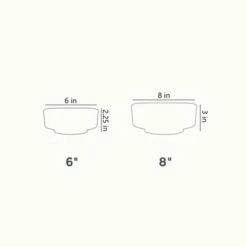 The HC Companies 8 Inch Round Plastic Capri Bowl Decorative Indoor Flower Succulent Planter Pot with Drain Plug Hole, Vanilla Bisque 7 The HC Companies 8 Inch Round Plastic Capri Bowl Decorative Indoor Flower Succulent Planter Pot with Drain Plug Hole, Vanilla Bisque -Cheap Planters Store unnamed file 3708