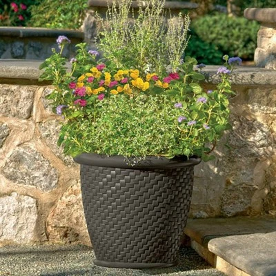 Suncast 1807J4 18 x 16.5 Inch Wicker Resin Large Indoor/Outdoor Dirt Pot Home Garden Planter for Flowers and Plants, Dark Brown 4 Suncast 1807J4 18 x 16.5 Inch Wicker Resin Large Indoor/Outdoor Dirt Pot Home Garden Planter for Flowers and Plants, Dark Brown - Image 2