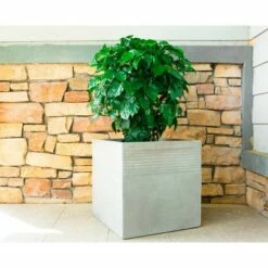Kante Lightweight Outdoor Modern Square Concrete Planter Natural Concrete Gray - Rosemead Home & Garden, Inc. 10 Kante Lightweight Outdoor Modern Square Concrete Planter Natural Concrete Gray - Rosemead Home & Garden, Inc. -Cheap Planters Store unnamed file 3866