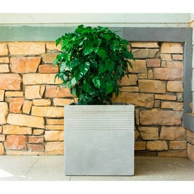 Kante Lightweight Outdoor Modern Square Concrete Planter Natural Concrete Gray - Rosemead Home & Garden, Inc. 6 Kante Lightweight Outdoor Modern Square Concrete Planter Natural Concrete Gray - Rosemead Home & Garden, Inc. - Image 4