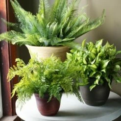 The HC Companies HC Companies SRA10001P02 Sierra 10 Inch Self Watering Round Weather Resistant Plastic Resin Flower Garden Planter Pot Container, Celtic Bronze