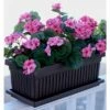The HC Companies HC Companies VNP30000E21 30-Inch Fluted Plastic Venetian Flower Box for Flowers, Vegetables, or Succulents, Chocolate 2 The HC Companies HC Companies VNP30000E21 30-Inch Fluted Plastic Venetian Flower Box for Flowers, Vegetables, or Succulents, Chocolate -Cheap Planters Store unnamed file 3890