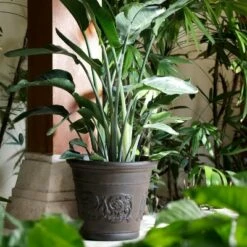 Sunnydaze Decor Sunnydaze Indoor/Outdoor Patio, Garden, or Porch Weather-Resistant Double-Walled Arabella Flower Pot Planter - 16" - Rust Finish -Cheap Planters Store unnamed file 3938