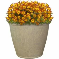 Sunnydaze Decor Sunnydaze Indoor/Outdoor Patio, Garden, or Porch Weather-Resistant Double-Walled Anjelica Flower Pot Planter - 24" - Beige 7 Sunnydaze Decor Sunnydaze Indoor/Outdoor Patio, Garden, or Porch Weather-Resistant Double-Walled Anjelica Flower Pot Planter - 24" - Beige -Cheap Planters Store unnamed file 4005