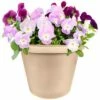 The HC Companies 16 Inch Indoor/Outdoor Classic Plastic Flower Pot Container Garden Planter with Molded Rim and Drainage Holes, Sandstone