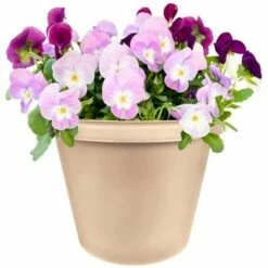 The HC Companies 16 Inch Indoor/Outdoor Classic Plastic Flower Pot Container Garden Planter with Molded Rim and Drainage Holes, Sandstone