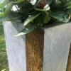 Rosemead Home & Garden, Inc. Kante Lightweight Concrete Tall Modern Square Outdoor Planter - Rosemead Home & Garden, Inc -Cheap Planters Store unnamed file 4017