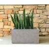 Kante Lightweight Outdoor Durable Modern Rectangular Concrete Planter Weathered Concrete Gray - Rosemead Home & Garden, Inc. -Cheap Planters Store unnamed file 4029
